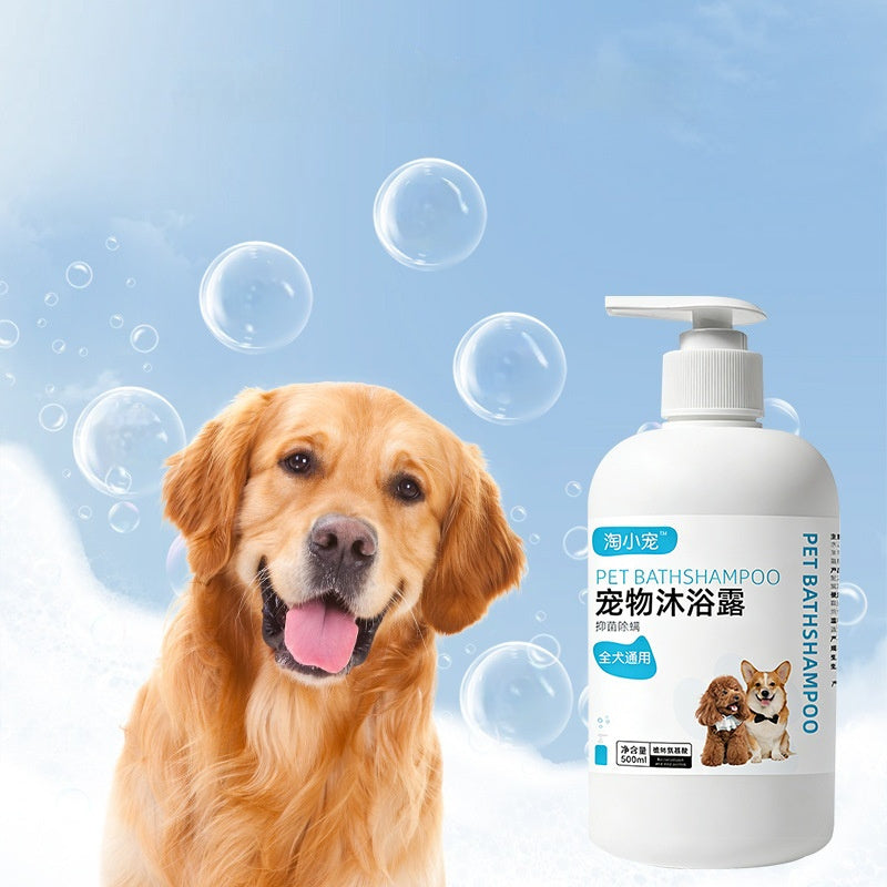 f5aee846f4c4b1456a556fc162b9469a